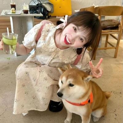 至少是圣徒